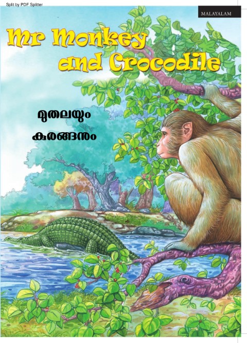 Mr. Monkey and Crocodile